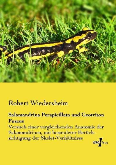 Salamandrina Perspicillata und Geotriton Fuscus