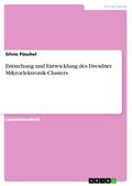 Entstehung und Entwicklung des Dresdner Mikroelektronik-Clusters von Silvio Püschel | Ebook