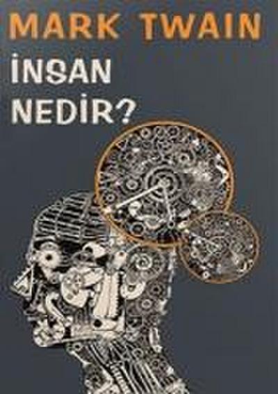 Insan Nedir