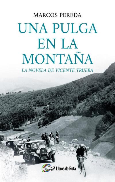 Una pulga en la montaña : la novela de Vicente Trueba