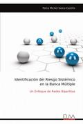 Identificación del Riesgo Sistémicoen la Banca Múltiple