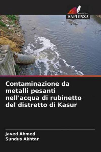 Contaminazione da metalli pesanti nell’acqua di rubinetto del distretto di Kasur