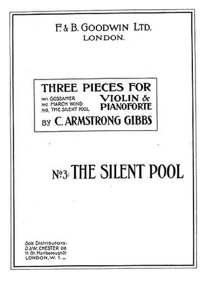 The Silent Pool