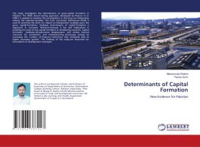 Determinants of Capital Formation