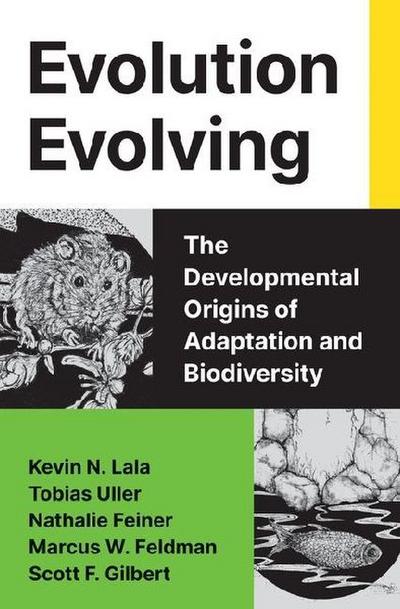 Evolution Evolving
