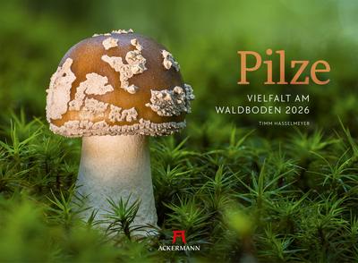 Pilze Kalender 2026 | Vielfalt am Waldboden