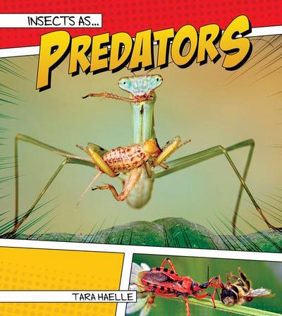 Insects as Predators