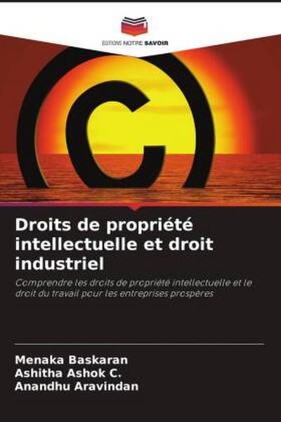 Droits de propriété intellectuelle et droit industriel