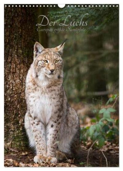 Der Luchs - Europas größte Samtpfote (Wandkalender 2026 DIN A3 hoch), CALVENDO Monatskalender