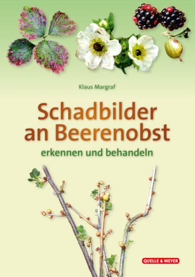 Schadbilder an Beerenobst 