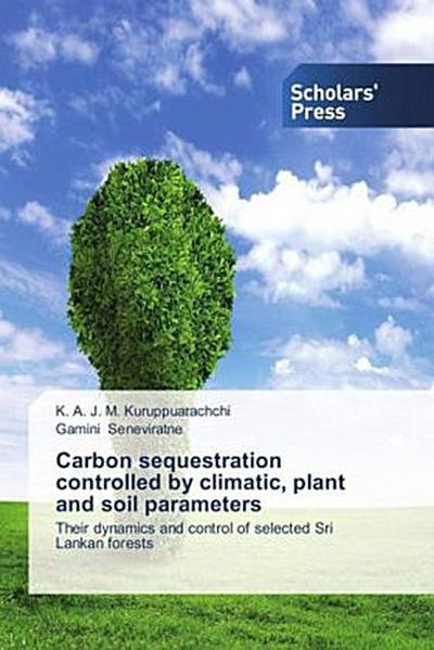 Carbon sequestration controlled by climatic, plant and soil parameters
