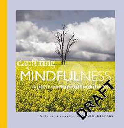 Capturing  Mindfulness