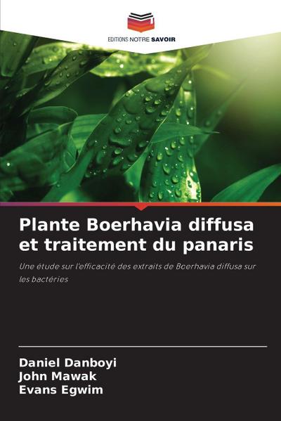 Plante Boerhavia diffusa et traitement du panaris