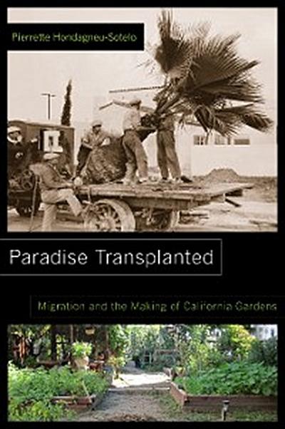 Paradise Transplanted