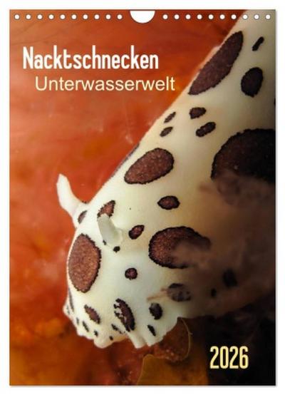 Nacktschnecken - Unterwasserwelt 2026 (Wandkalender 2026 DIN A4 hoch), CALVENDO Monatskalender