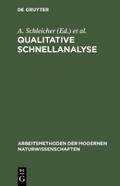 Qualitative Schnellanalyse