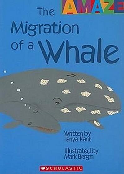 The Migration of a Whale