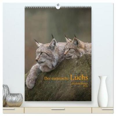 Der eurasische Luchs (hochwertiger Premium Wandkalender 2026 DIN A2 hoch), Kunstdruck in Hochglanz
