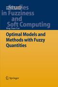 Optimal Models and Methods with Fuzzy Quantities