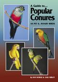 Guide to Popular Conures as Pet and Aviary Birds