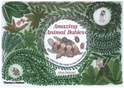 Amazing Animal Babies