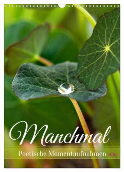 Manchmal - Poetische Momentaufnahmen (Wandkalender 2026 DIN A3 hoch), CALVENDO Monatskalender