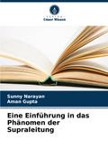 Eine Einführung in das Phänomen der Supraleitung