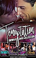 Temptation : BWWM Romance Collection