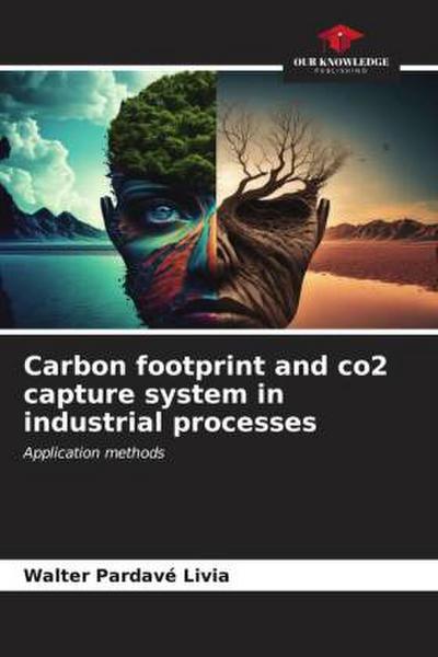 Carbon footprint and co2 capture system in industrial processes