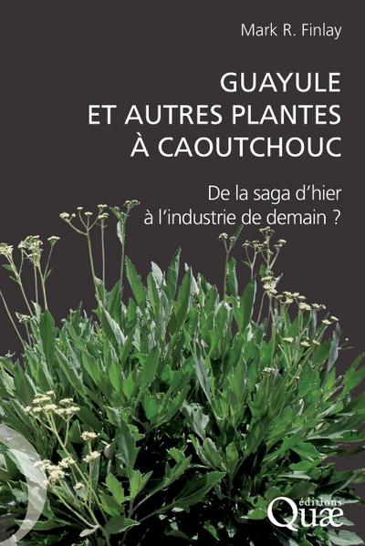 Guayule et autres plantes à caoutchouc