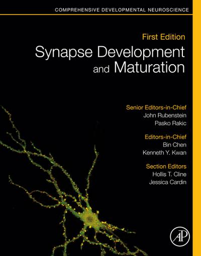 Synapse Development and Maturation
