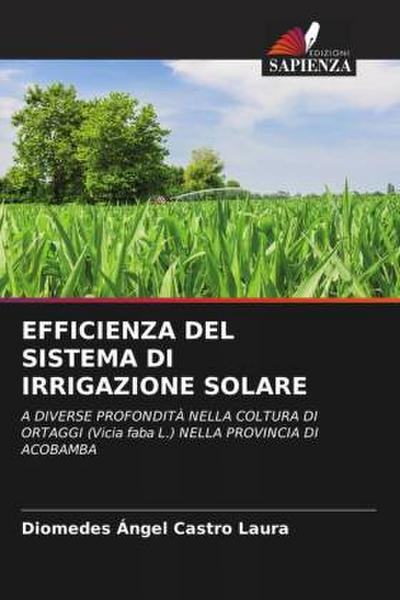 EFFICIENZA DEL SISTEMA DI IRRIGAZIONE SOLARE