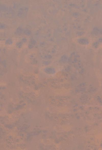 Sämtliche Werke - Band 12/I- Sonderausgabe- Musikalische Schriften- Herausgegeben von Ferdinand van Ingen und Hans-Gert Roloff