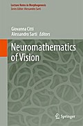 Neuromathematics of Vision