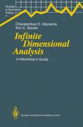 Infinite Dimensional Analysis