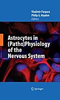 Astrocytes in (Patho)Physiology of the Nervous System