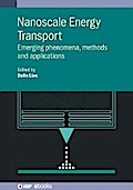 Nanoscale Energy Transport
