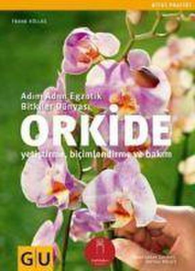 Orkide