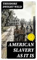 American Slavery as It is