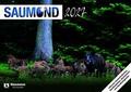 Saumond 2027
