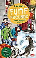 Fünf Freunde und das Weihnachtsgeheimnis