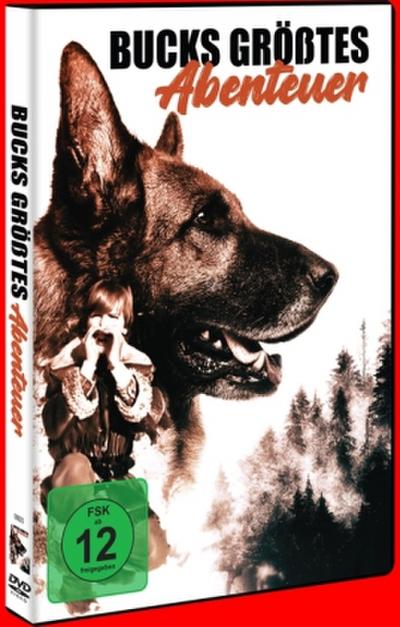Bucks größtes Abenteuer, 1 DVD
