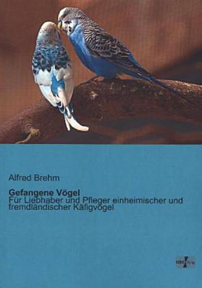 Gefangene Vögel