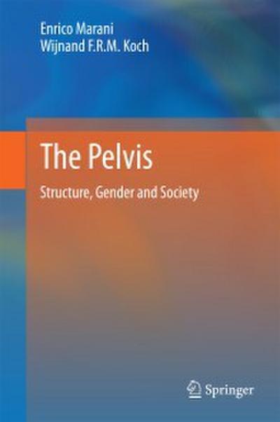 The Pelvis