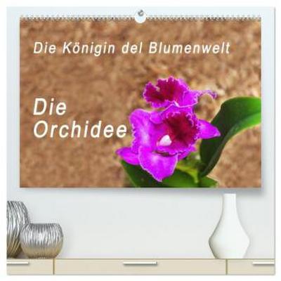 Die Königin der Blumenwelt, die Orchidee (hochwertiger Premium Wandkalender 2026 DIN A2 quer), Kunstdruck in Hochglanz