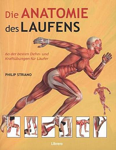 Die Anatomie des Laufens