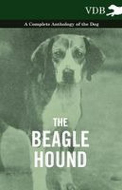 The Beagle Hound - A Complete Anthology of the Dog