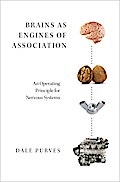 Brains as Engines of Association