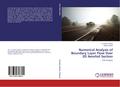 Numerical Analysis of Boundary Layer Flow Over 3D Aerofoil Section