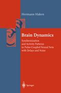 Brain Dynamics
